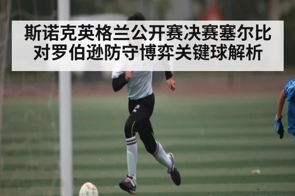 斯诺克英格兰公开赛决赛塞尔比对罗伯逊防守博弈关键球解析